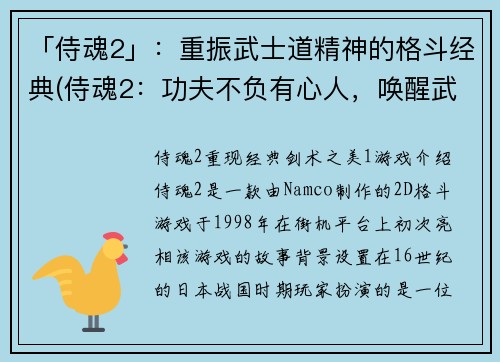 「侍魂2」：重振武士道精神的格斗经典(侍魂2：功夫不负有心人，唤醒武士道精神的经典之路)